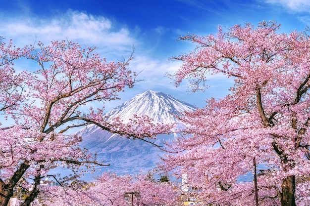 春の風景